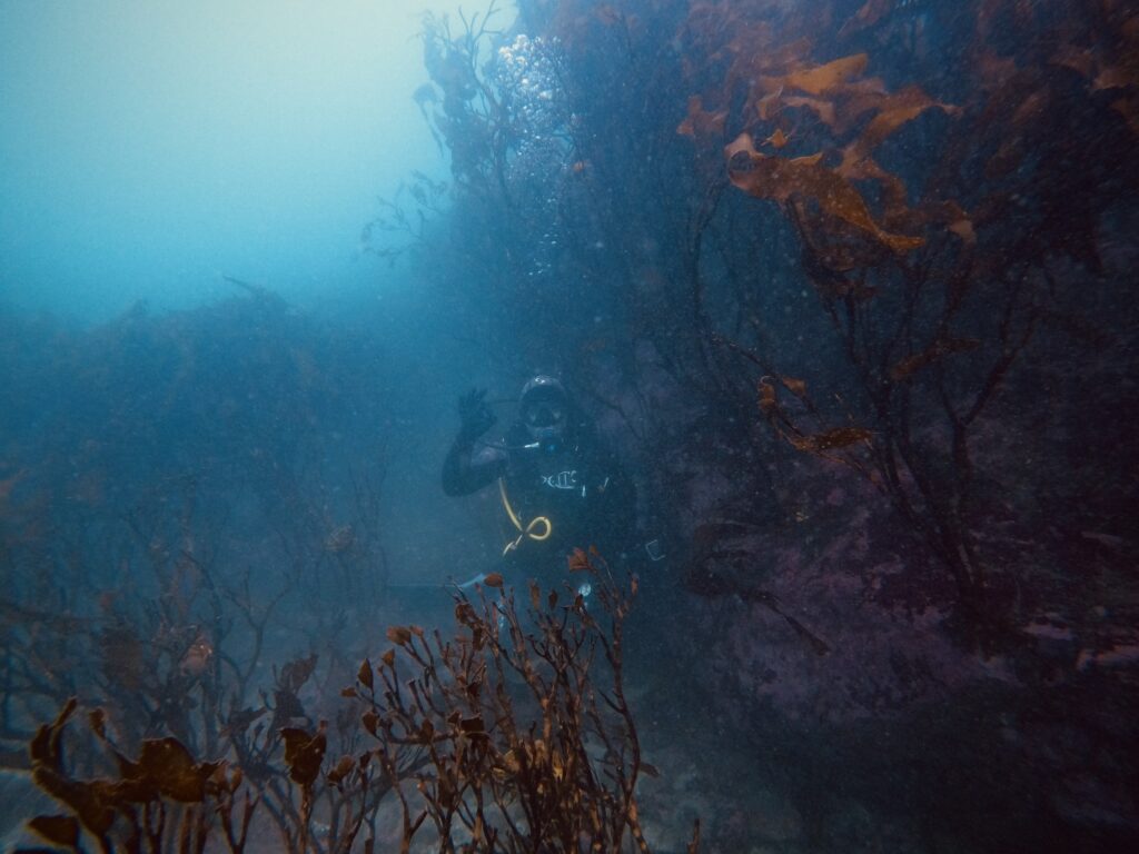img 7867